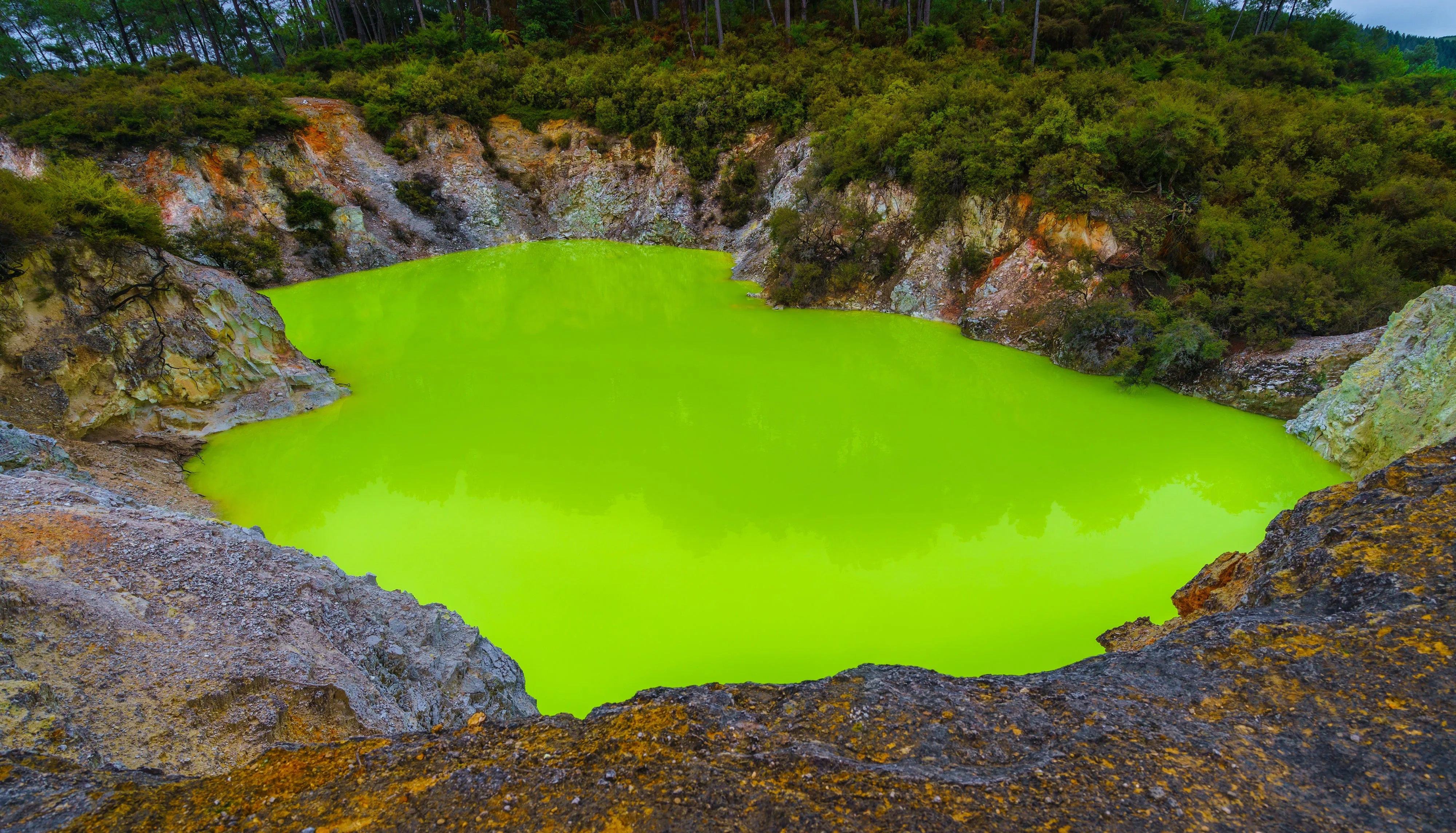 Vibrant green Lake Wai-O-Tapu in New Zealand