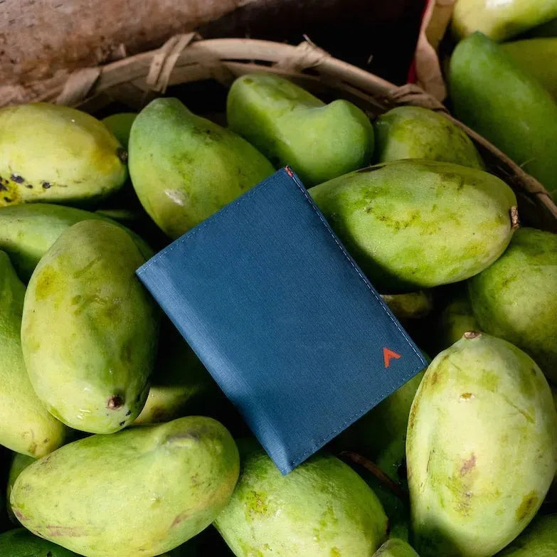 Allett Travel Wallet RFID Nylon - indigo-blue
