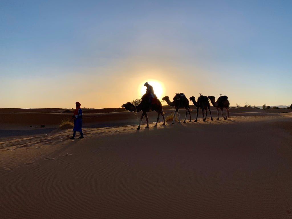 サハラ砂漠を巡るラクダの旅 |写真ブログ